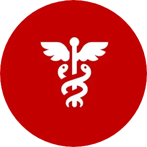 healthcare projects icon